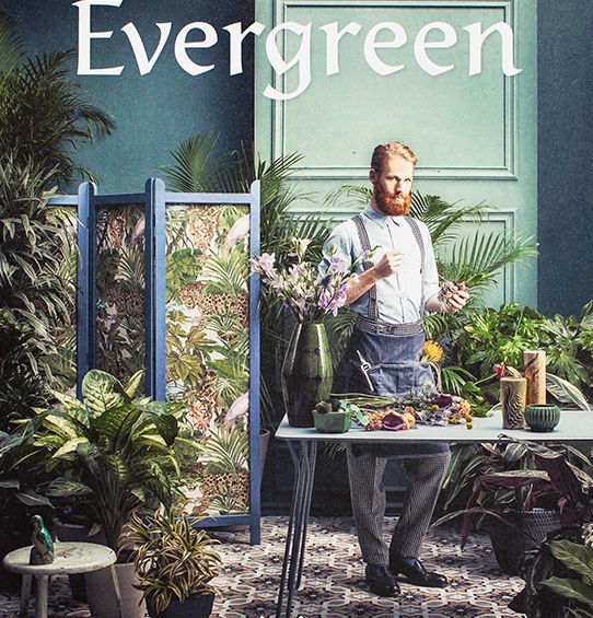 Evergreen - Living with Plants
