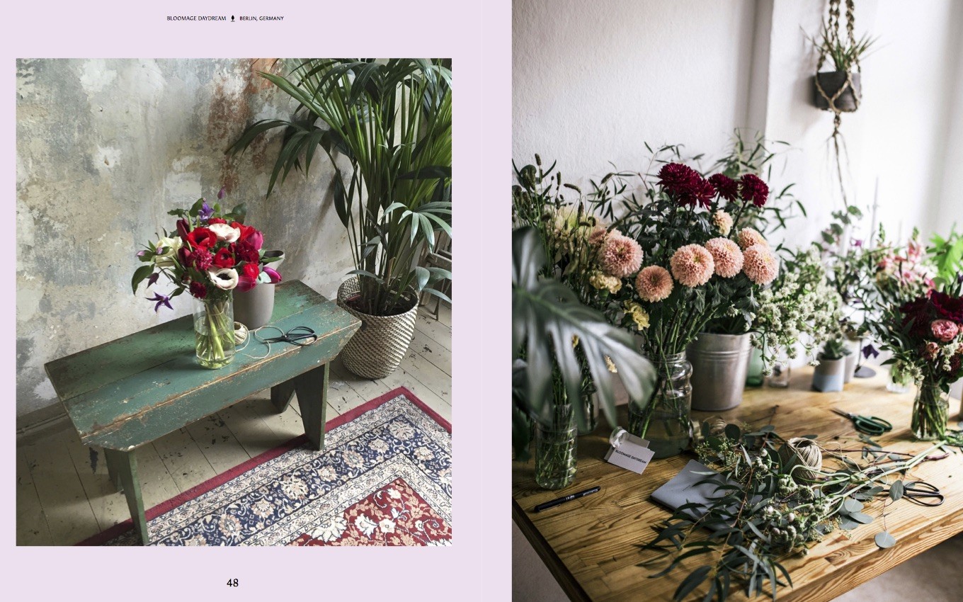 Evergreen - Living with Plants