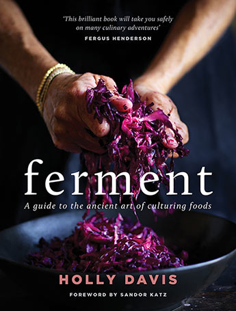 Ferment (מהדורה בריטית)