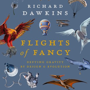 Flights of Fancy: Defying Gravity by Design and Evolution