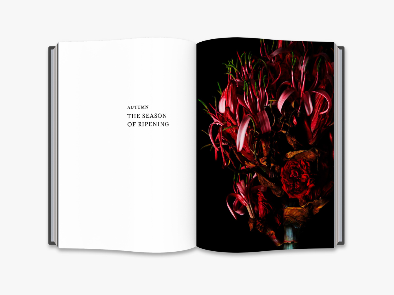 Flora Magnifica The Art of Flowers in Four Seasons