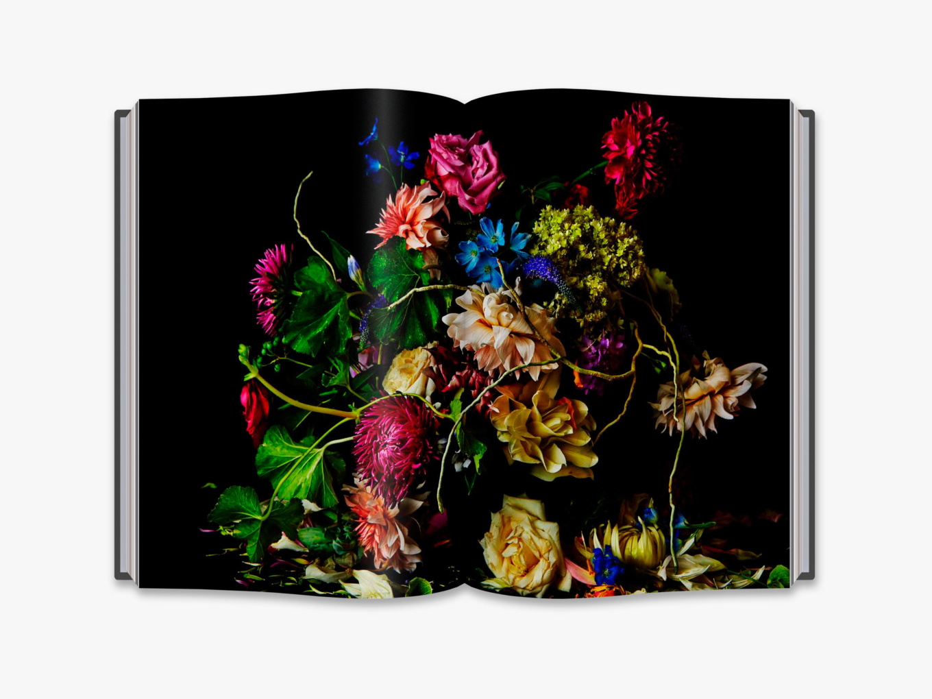 Flora Magnifica The Art of Flowers in Four Seasons