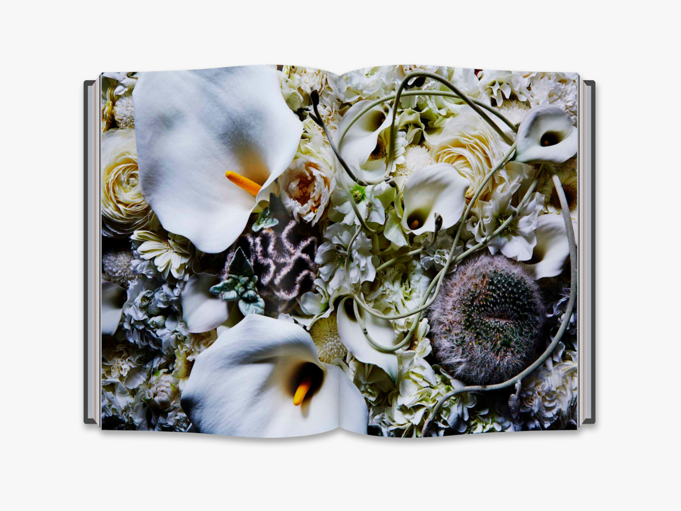Flora Magnifica The Art of Flowers in Four Seasons