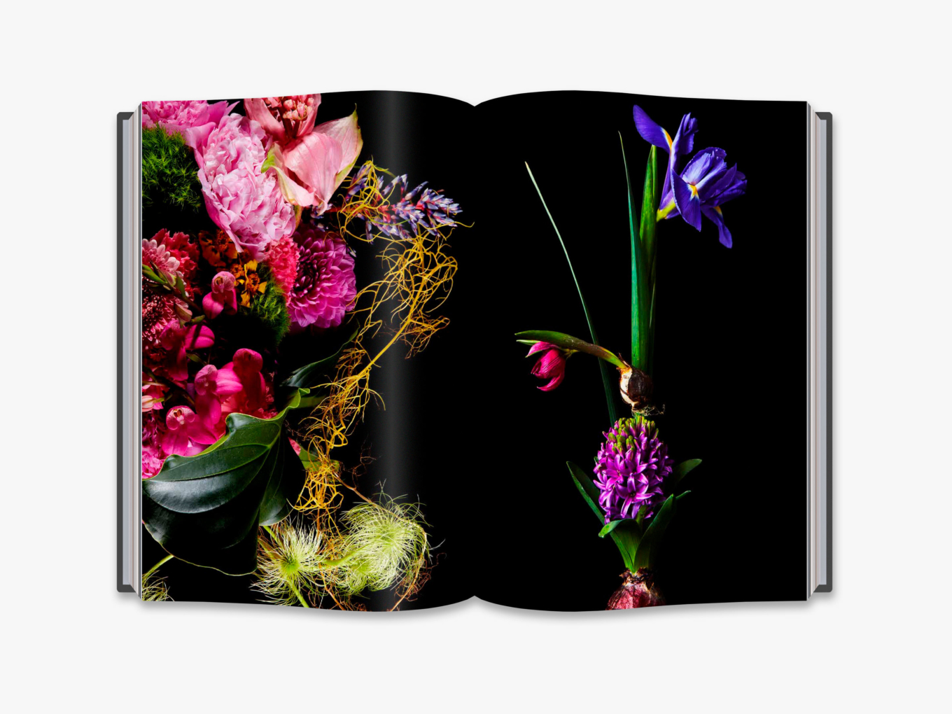Flora Magnifica The Art of Flowers in Four Seasons