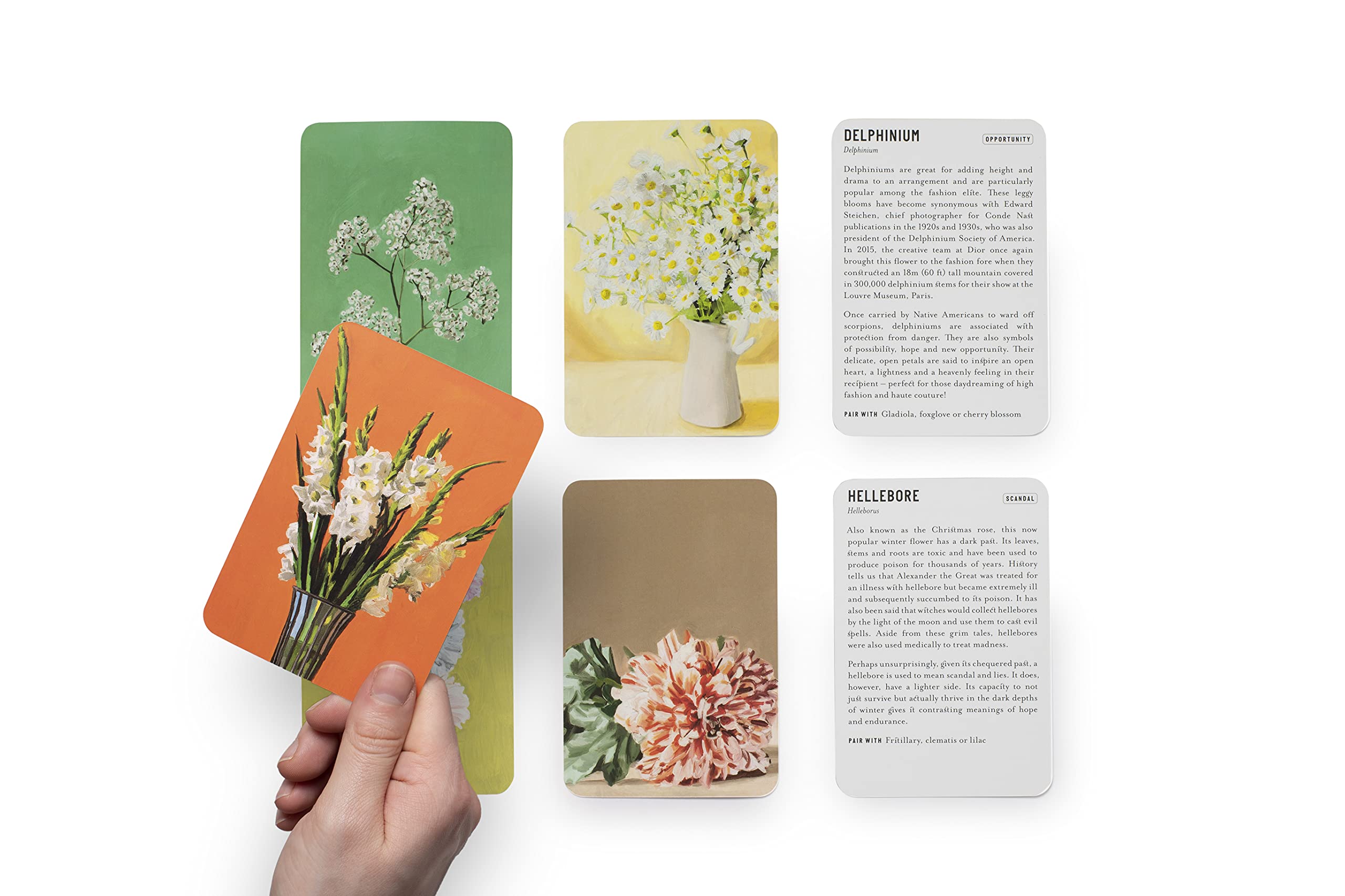 Floriography: The Meaning of Flowers