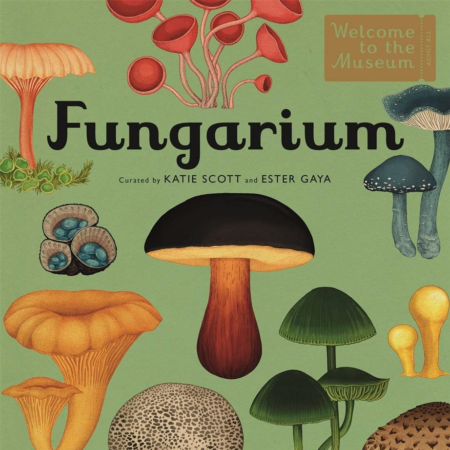 Fungarium: Welcome To The Museum