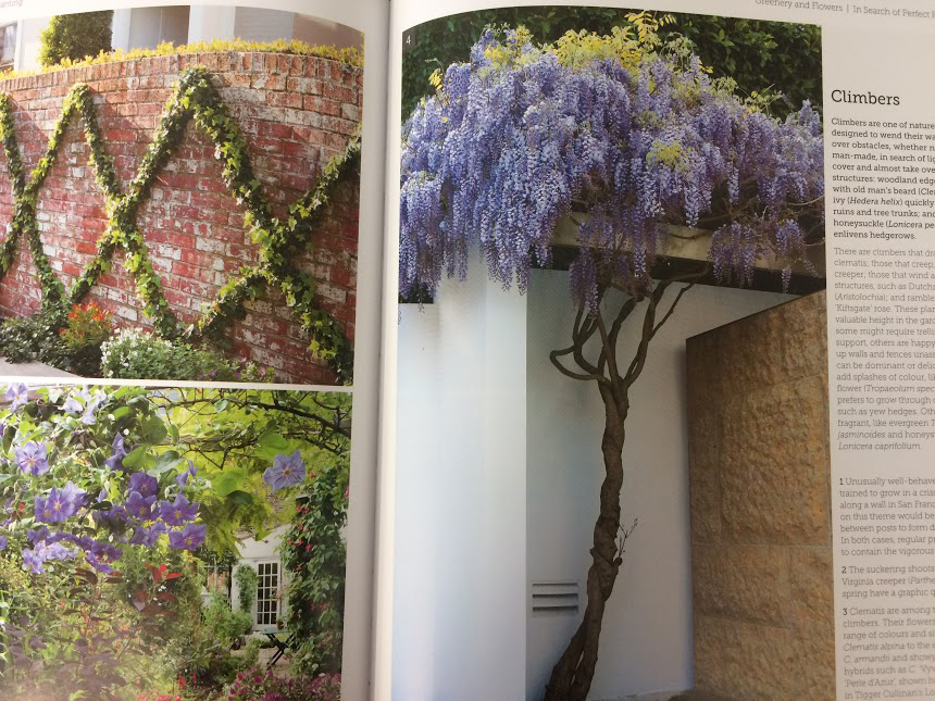 Garden Design: A Book of Ideas