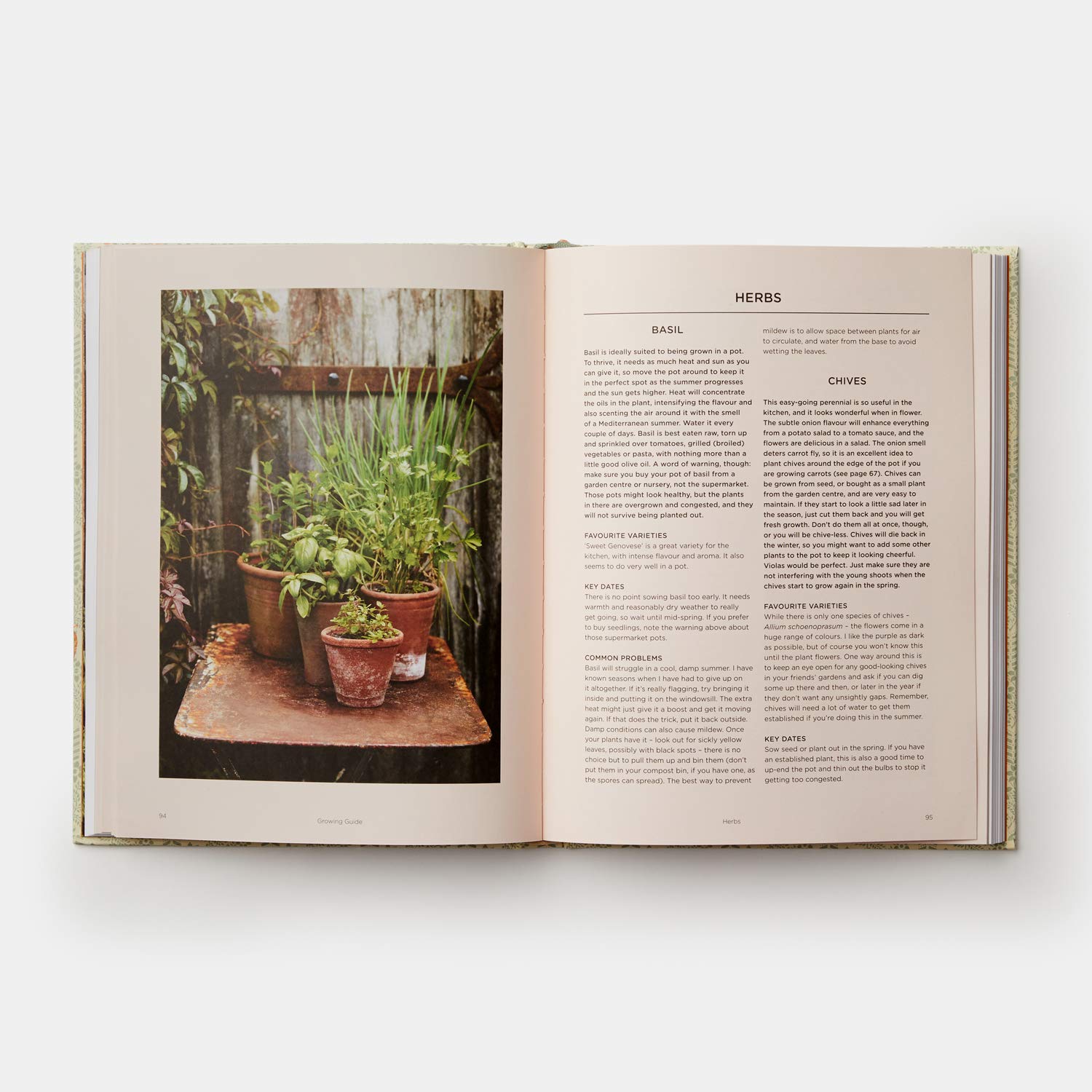 Grow Fruit & Vegetables in Pots