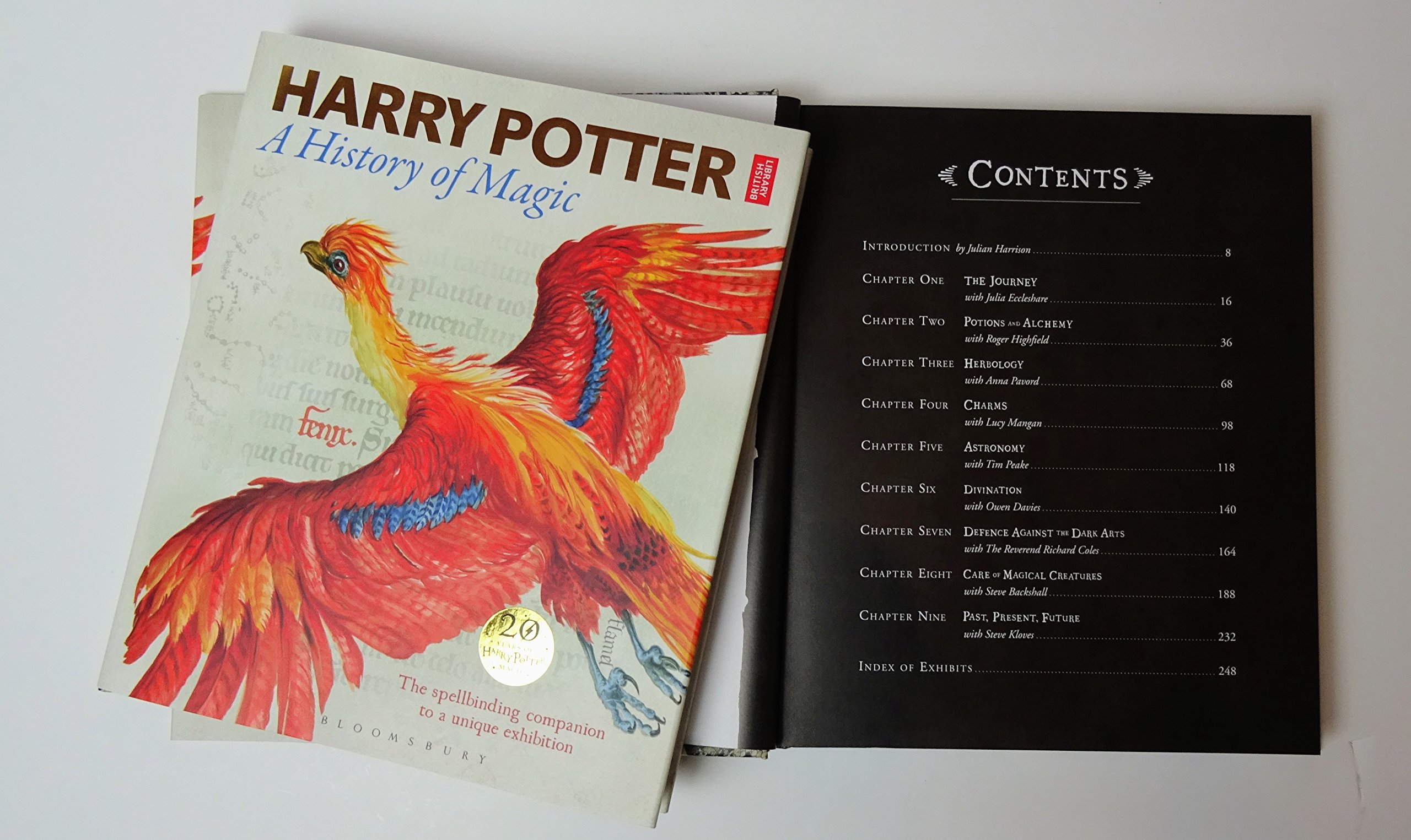 Harry Potter: A History of Magic