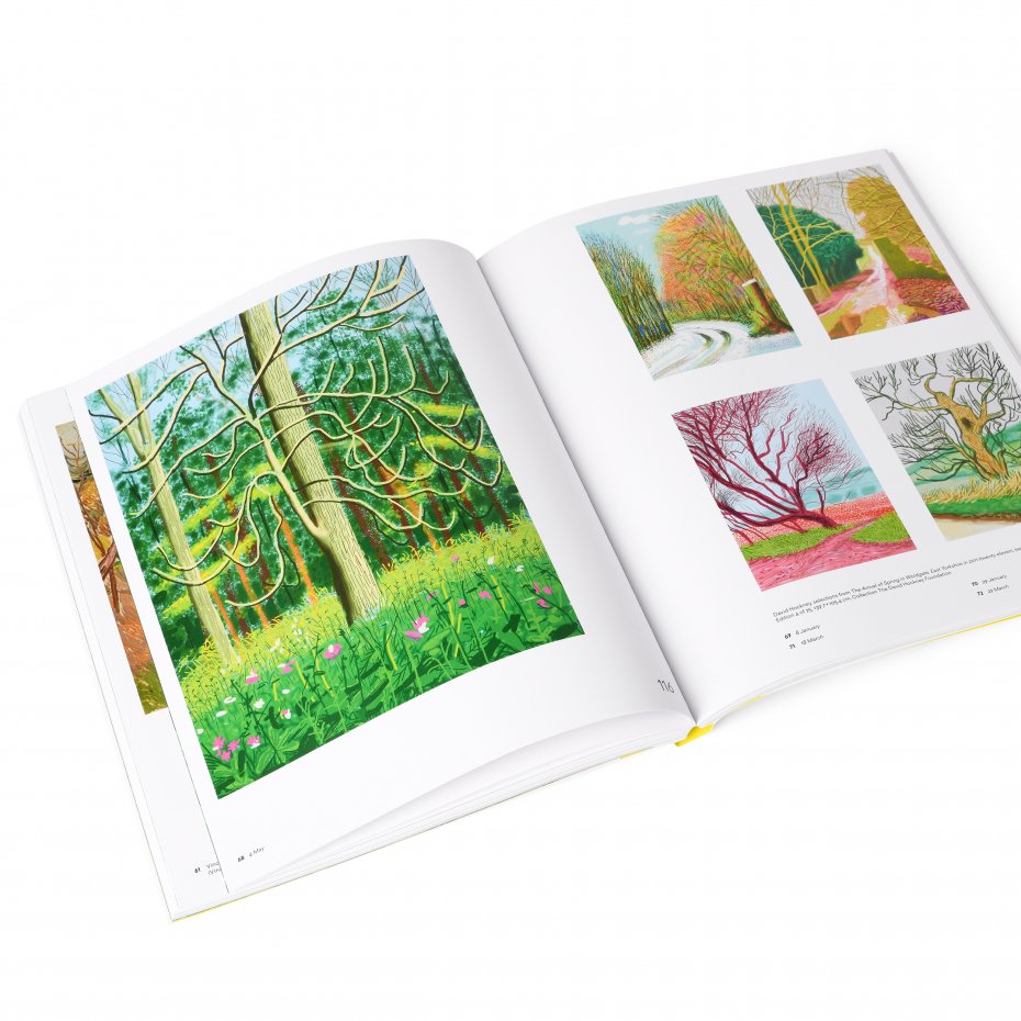 Hockney Van Gogh The Joy of Nature