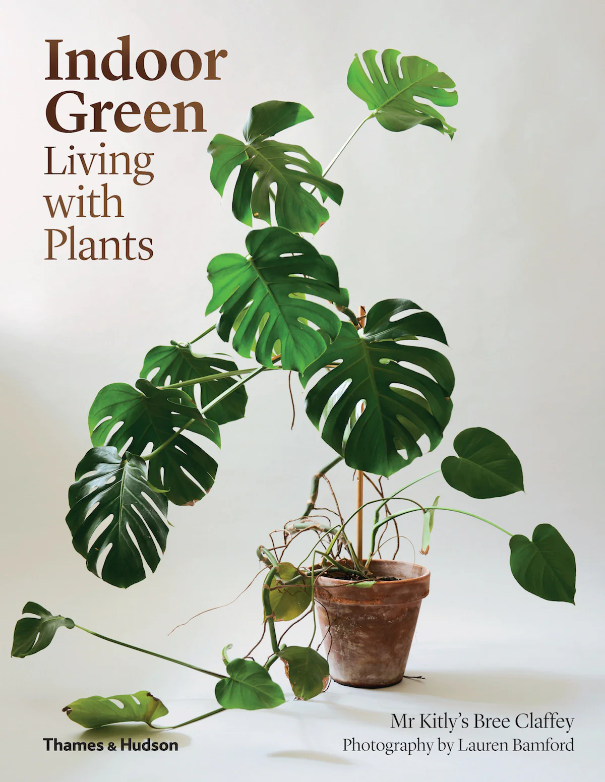 Indoor Green Living with Plants