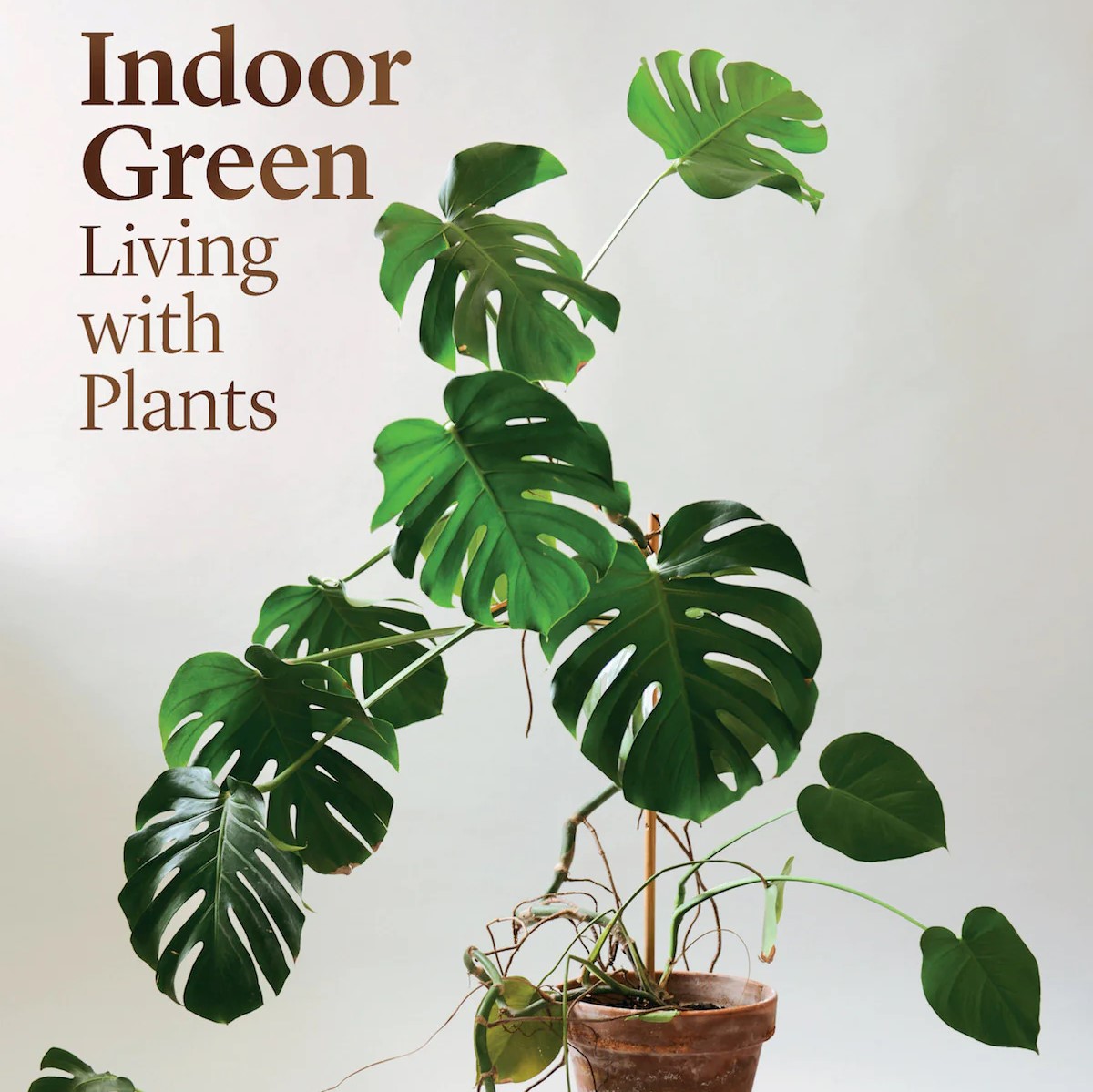 Indoor Green Living with Plants