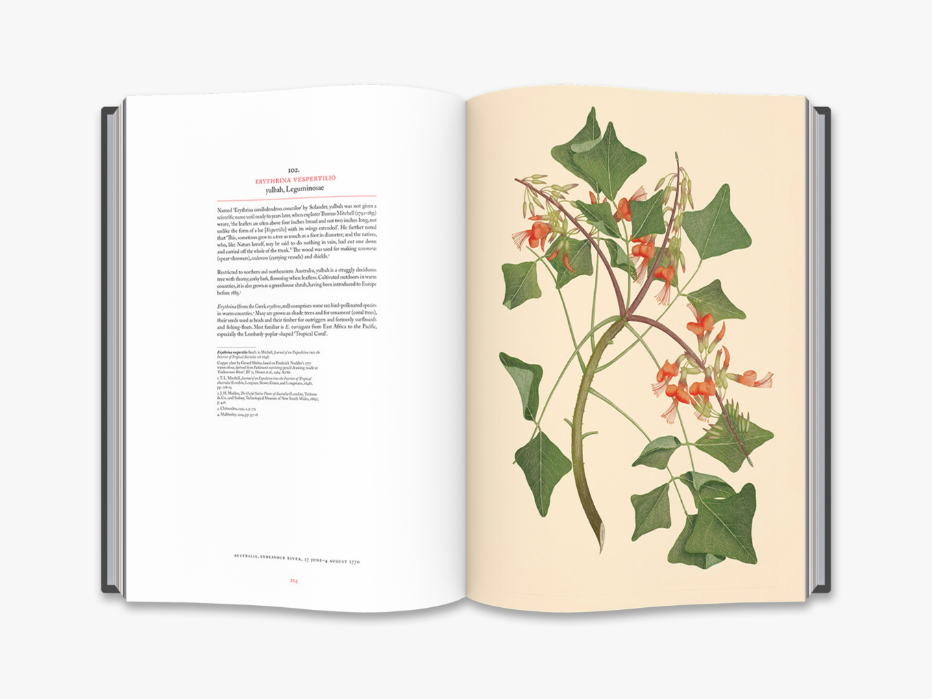 Joseph Banks' Florilegium Botanical Treasures from Cook's First Voyage