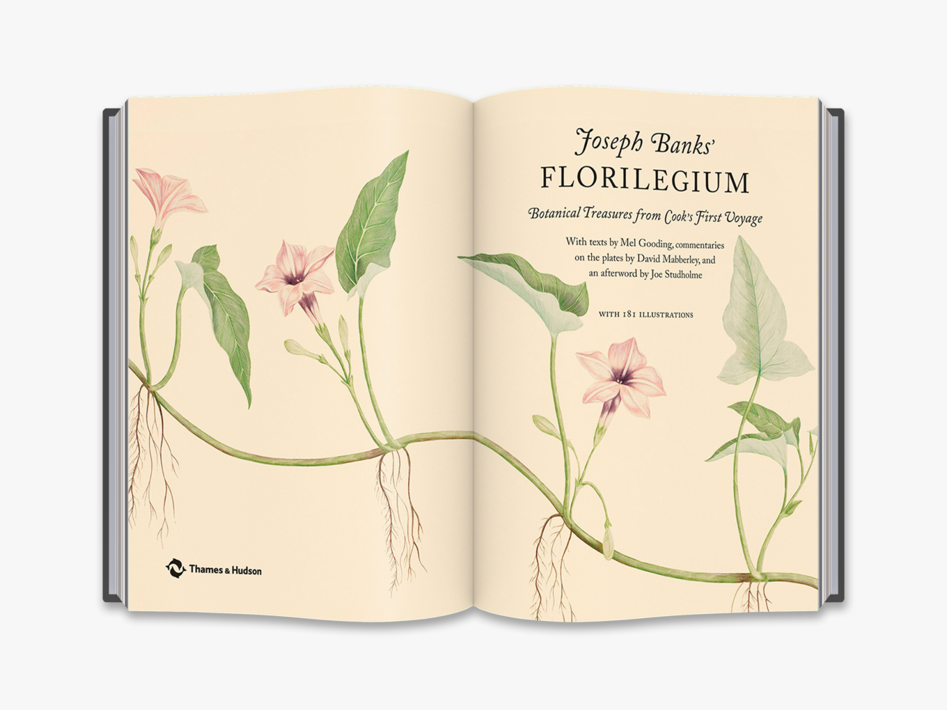 Joseph Banks' Florilegium Botanical Treasures from Cook's First Voyage