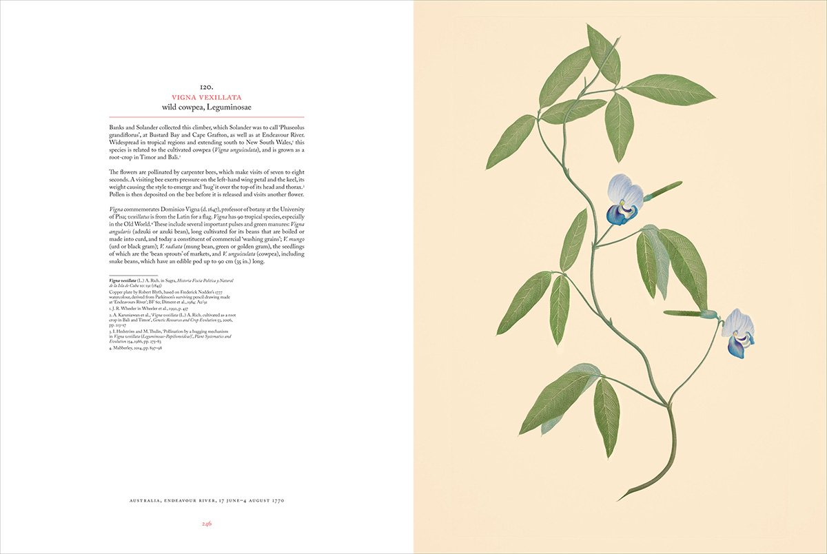 Joseph Banks' Florilegium