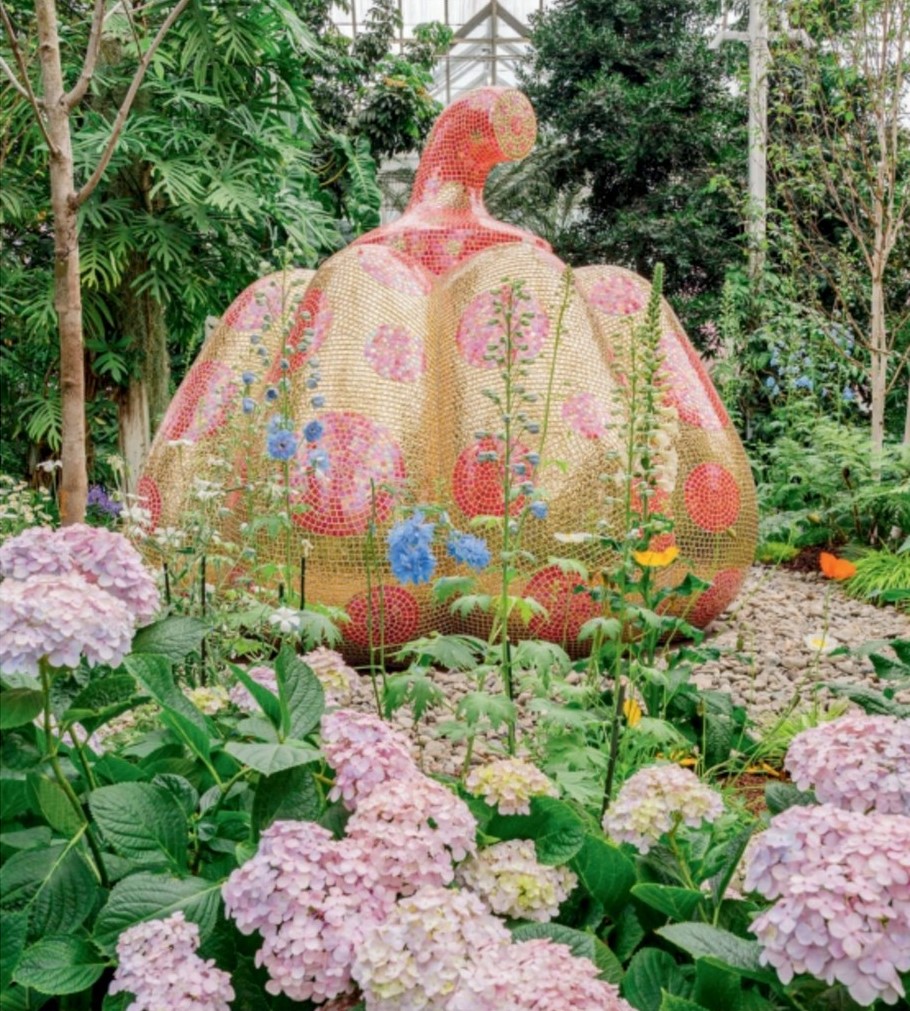 Kusama: Cosmic Nature