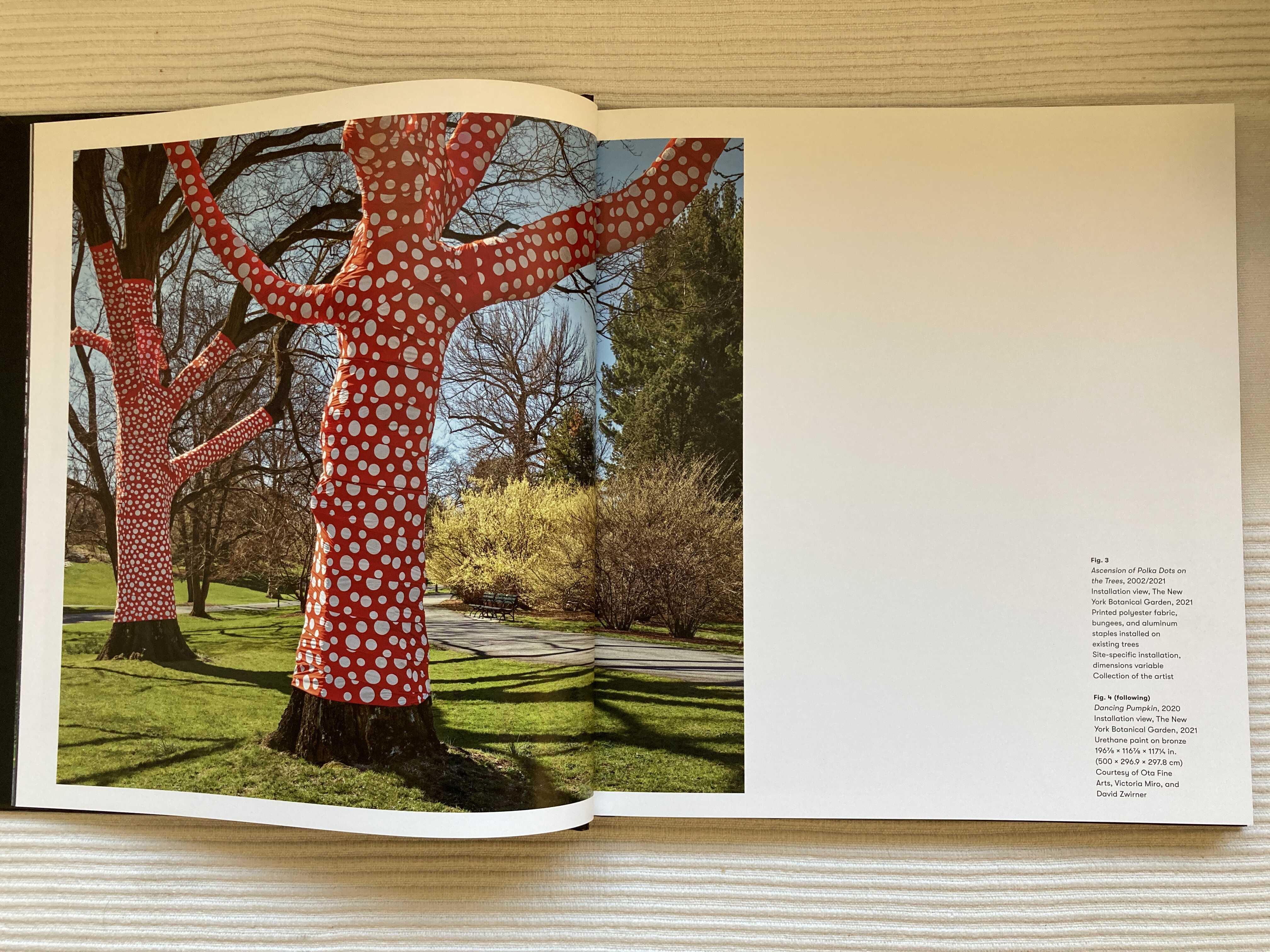 Kusama: Cosmic Nature