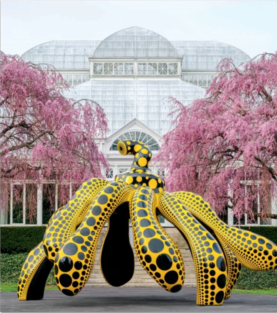 Kusama: Cosmic Nature