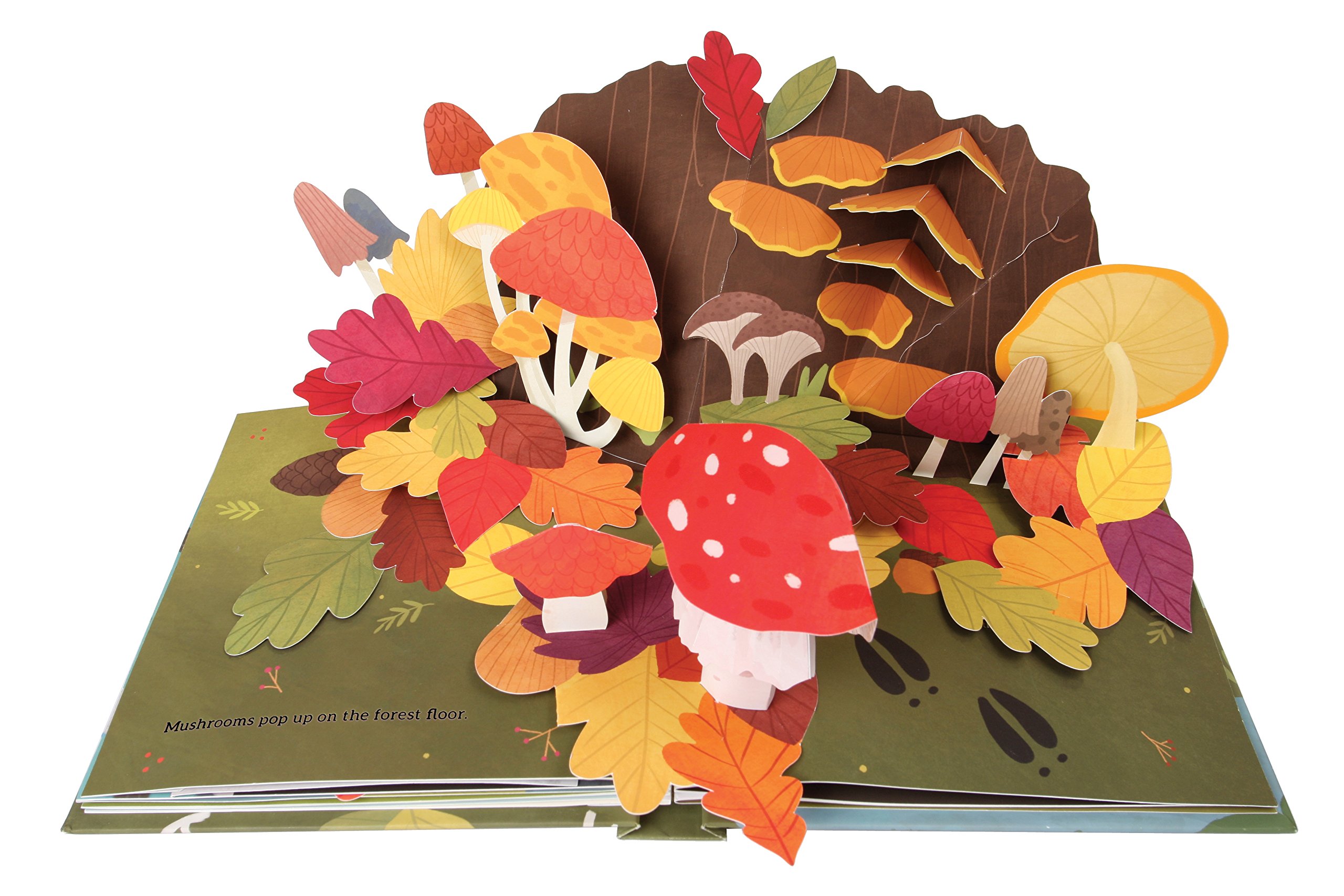 Leaves: An Autumn Pop-Up Book