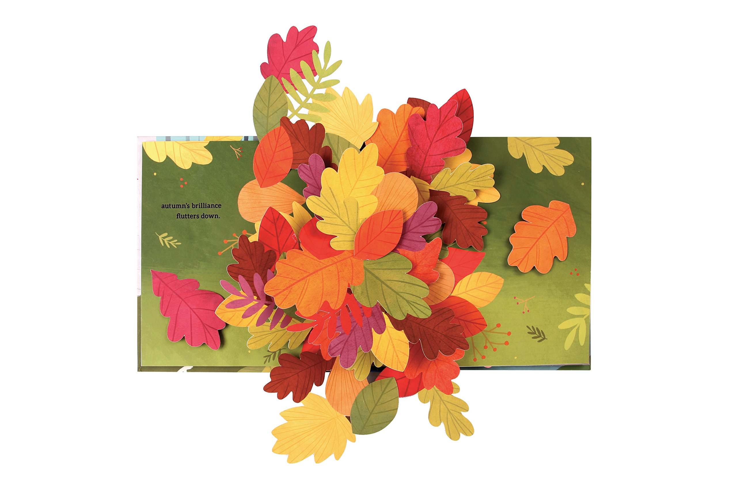 Leaves: An Autumn Pop-Up Book