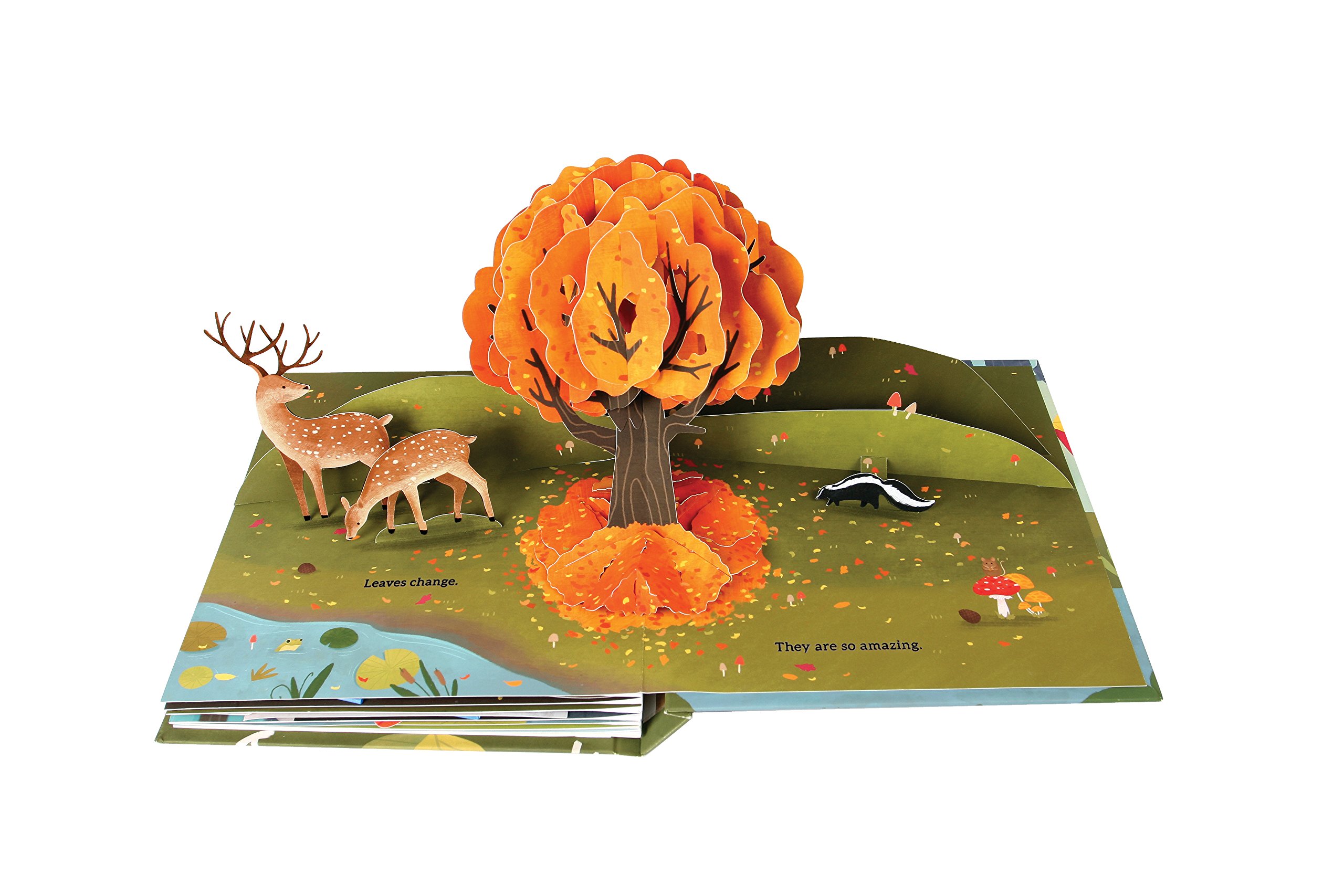 Leaves: An Autumn Pop-Up Book
