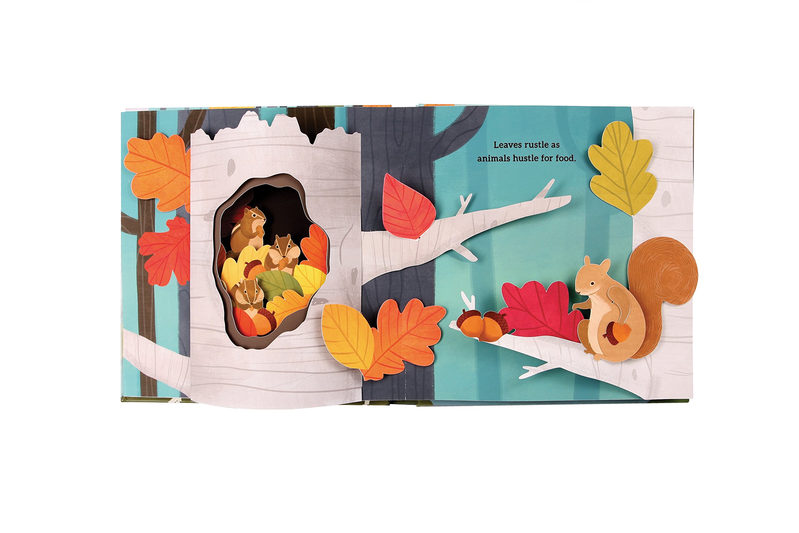 Leaves: An Autumn Pop-Up Book
