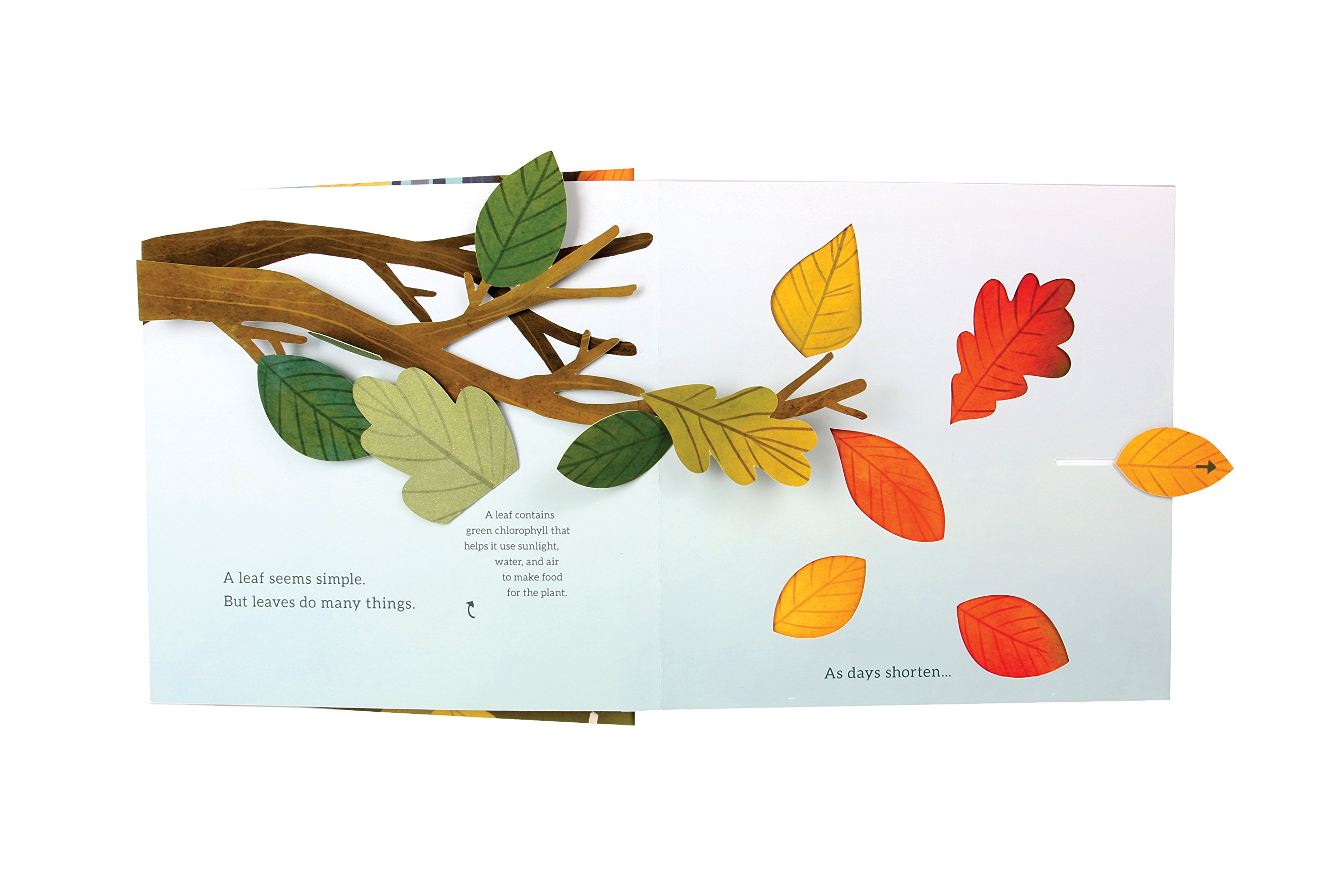 Leaves: An Autumn Pop-Up Book