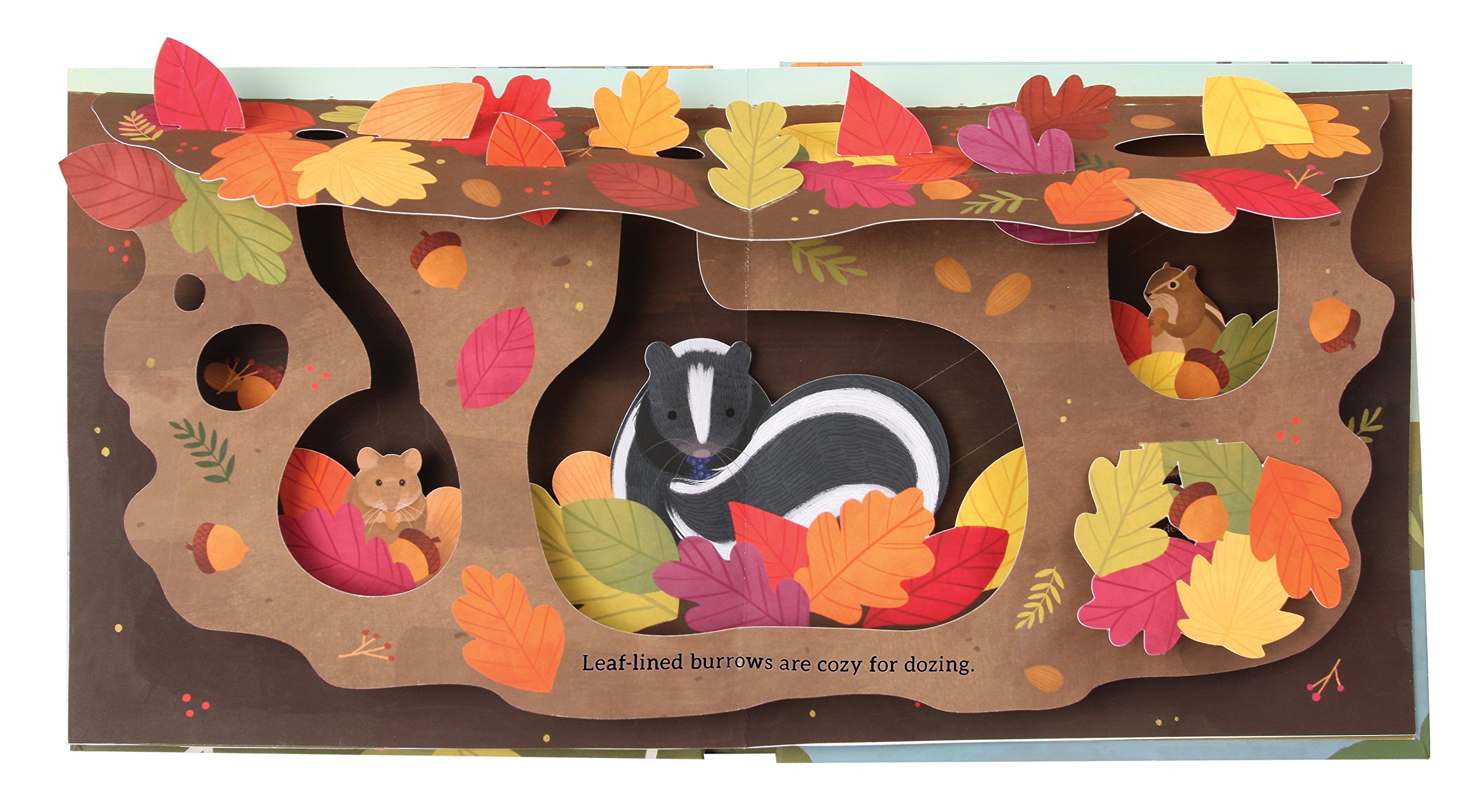 Leaves: An Autumn Pop-Up Book