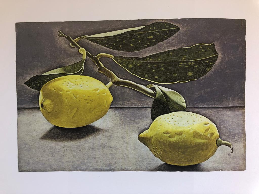 Lucian Freud Herbarium