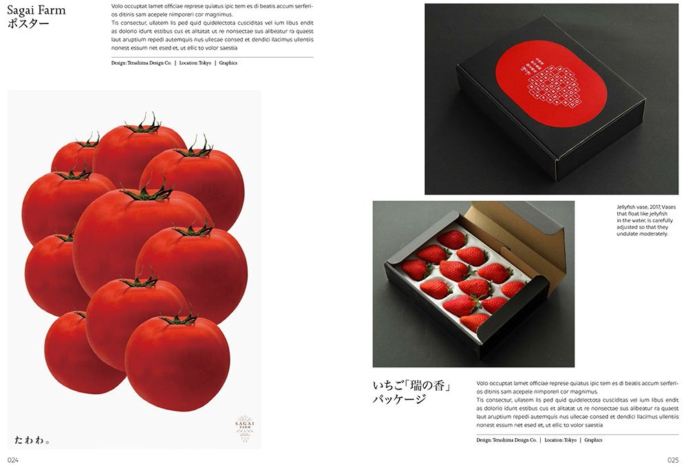 Made in Japan Awe-Inspiring Japanese Graphics