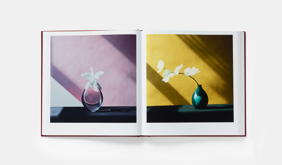 Mapplethorpe Flora: The Complete Flowers