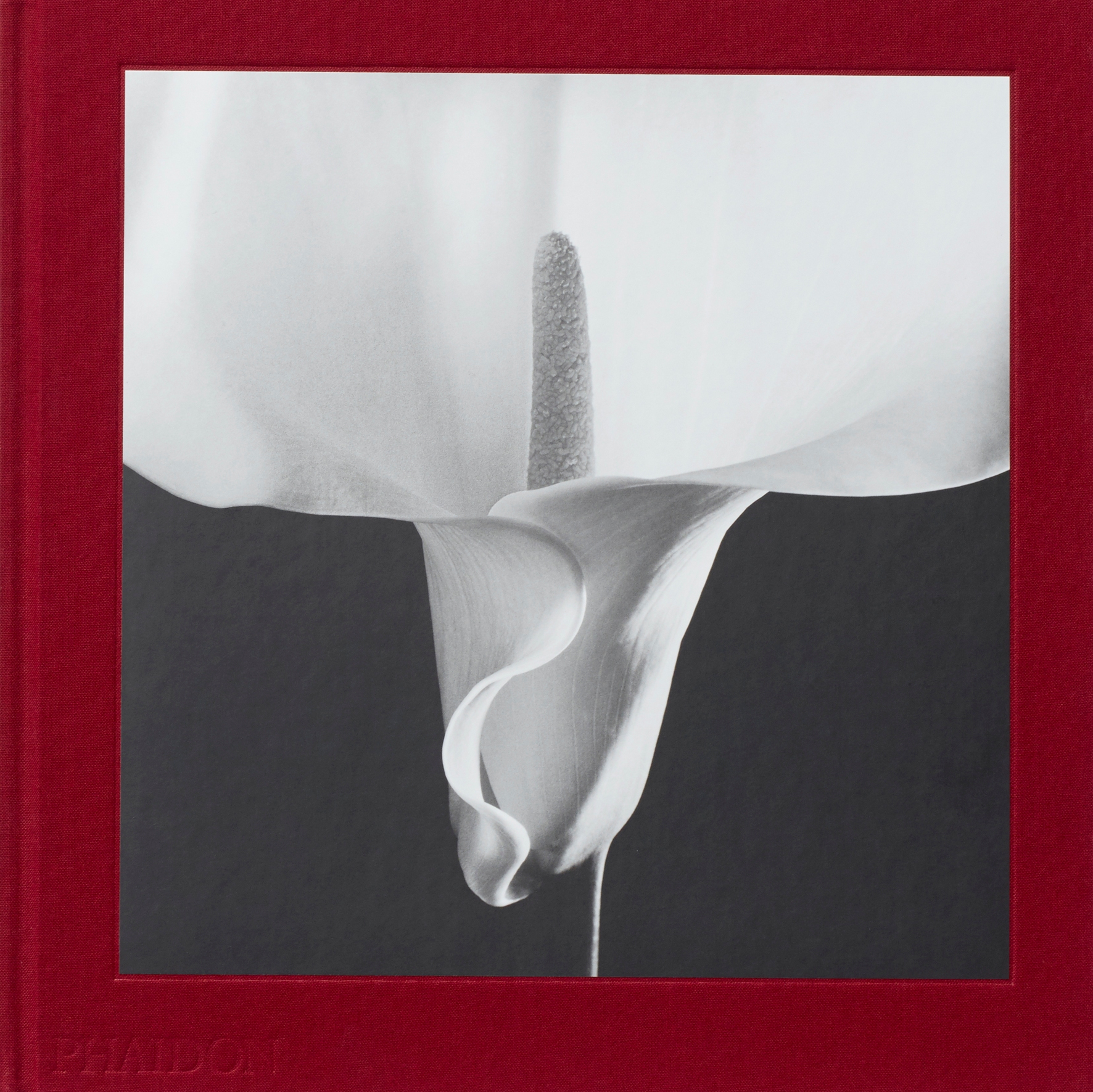 Mapplethorpe Flora: The Complete Flowers