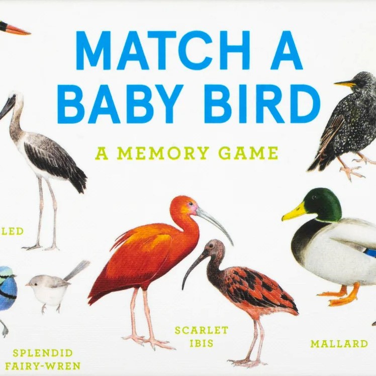 Match a Baby Bird