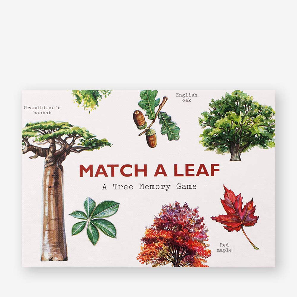 Match a Leaf - A Tree Memory Game משחק זיכרון
