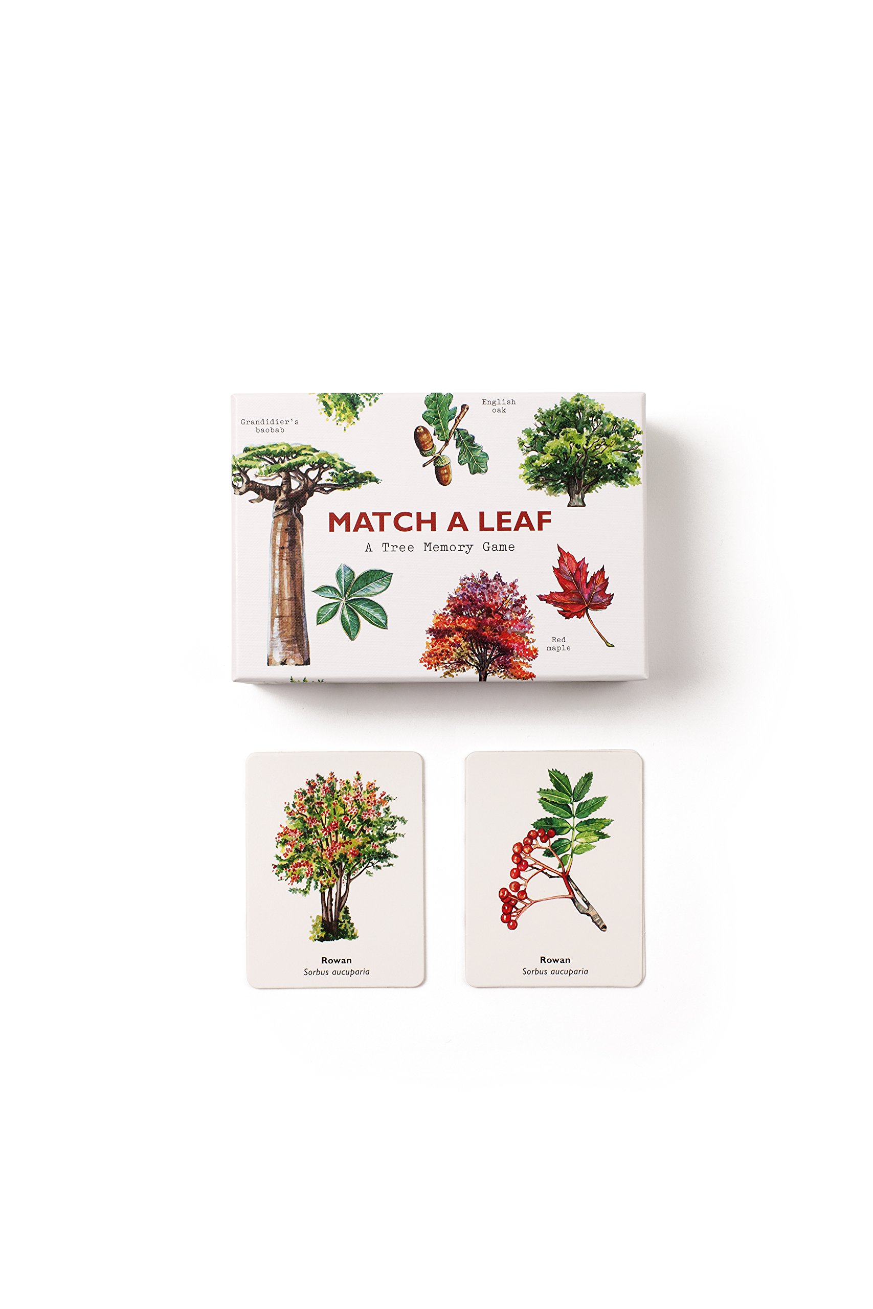 Match a Leaf - A Tree Memory Game משחק זיכרון