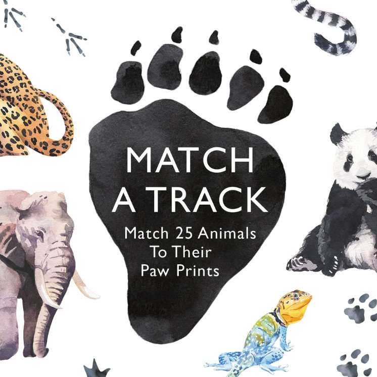 Match a Track