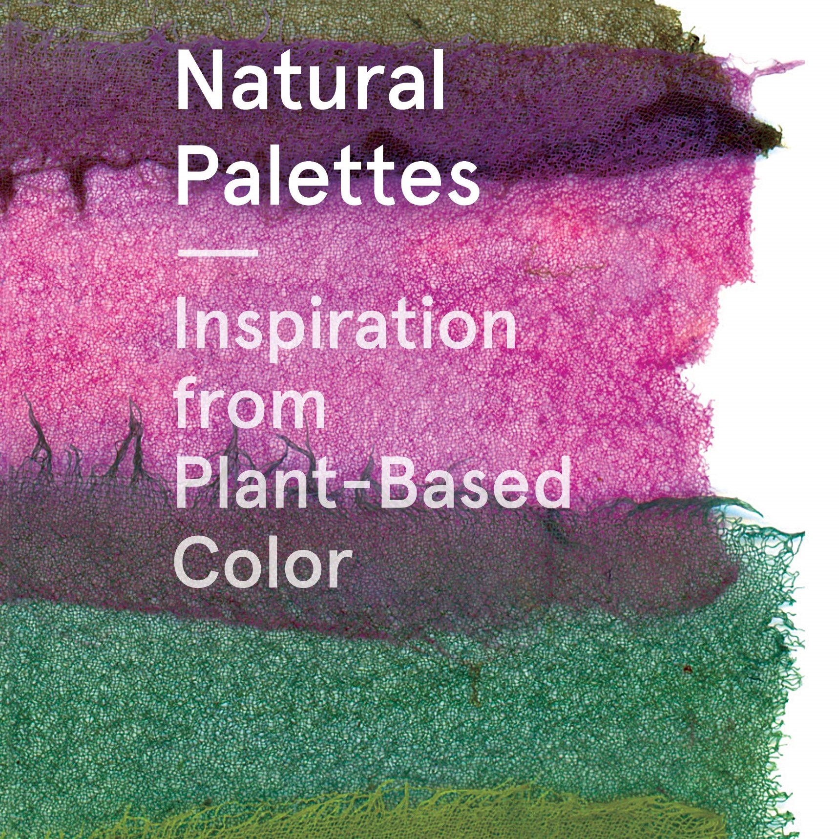 Natural Palettes: Inspiration from Plant-Based Color