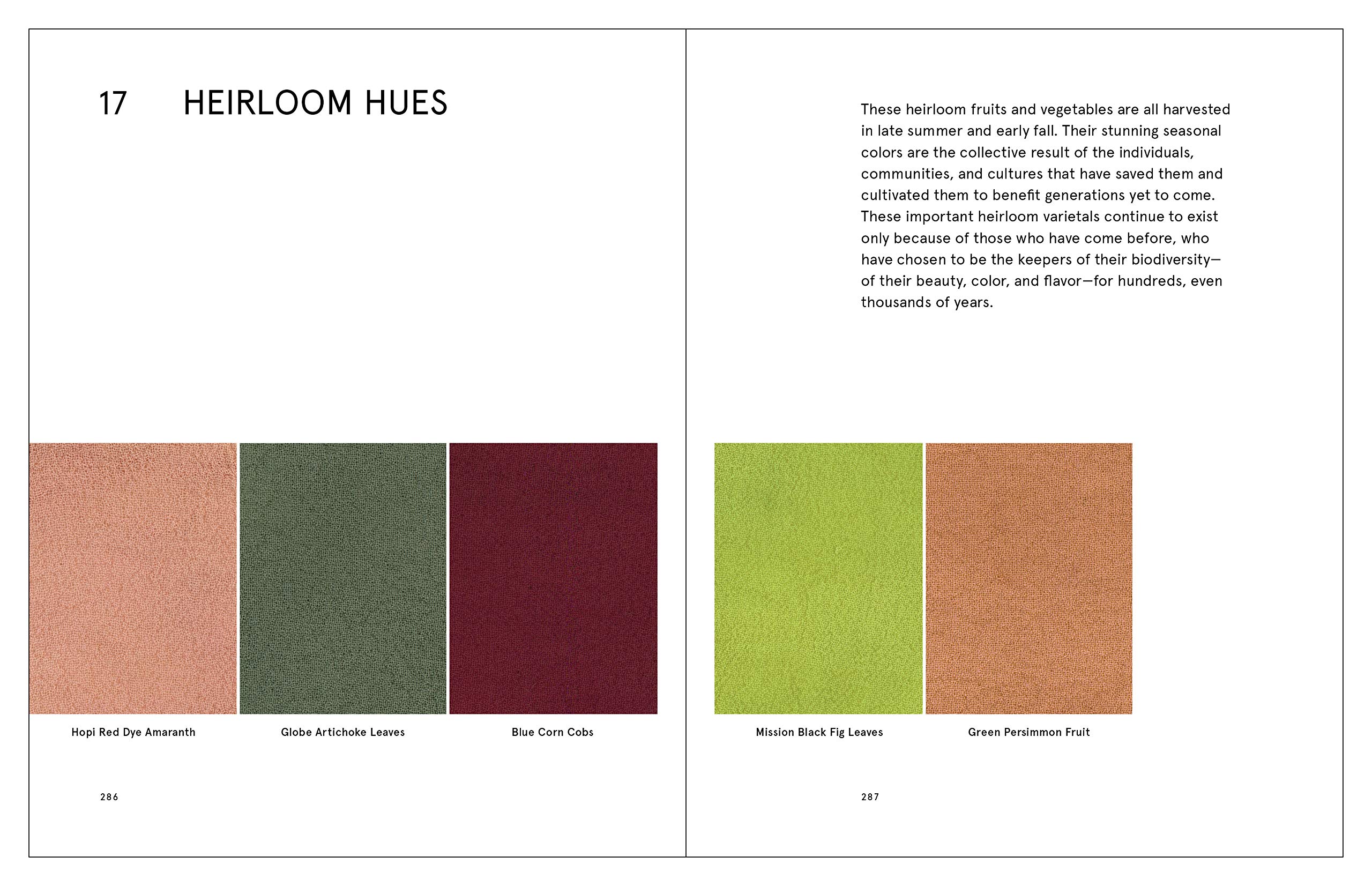 Natural Palettes: Inspiration from Plant-Based Color