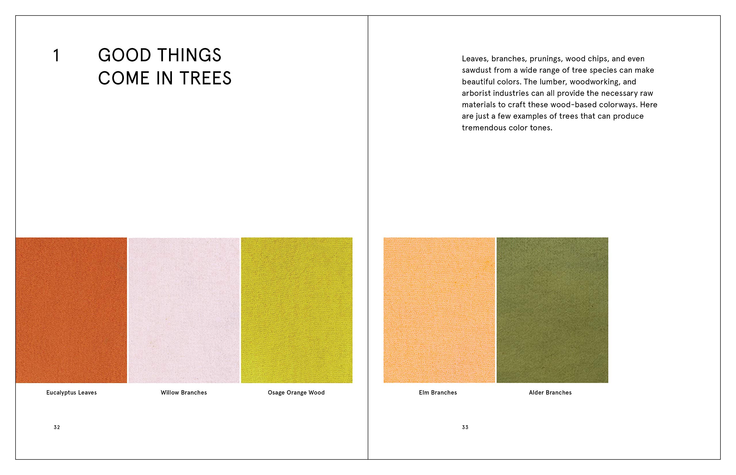 Natural Palettes: Inspiration from Plant-Based Color