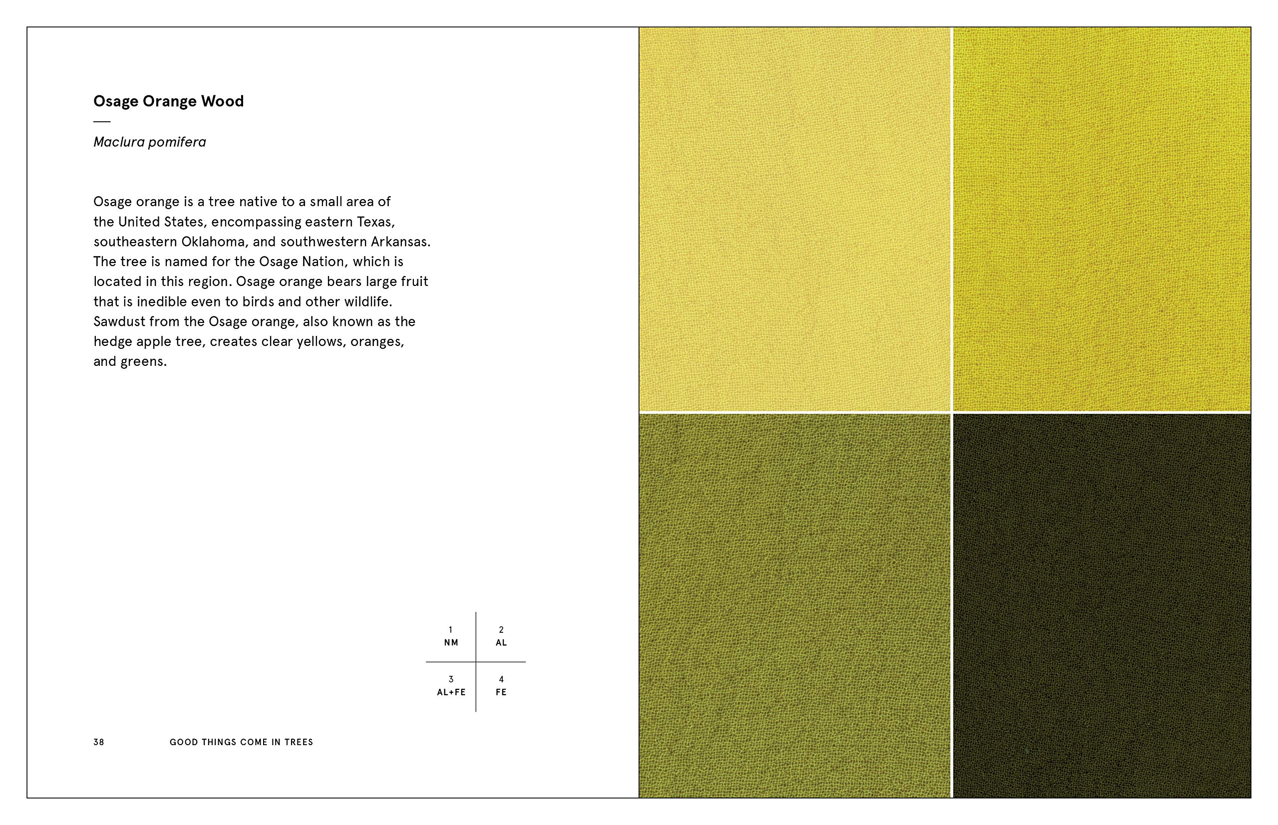 Natural Palettes: Inspiration from Plant-Based Color