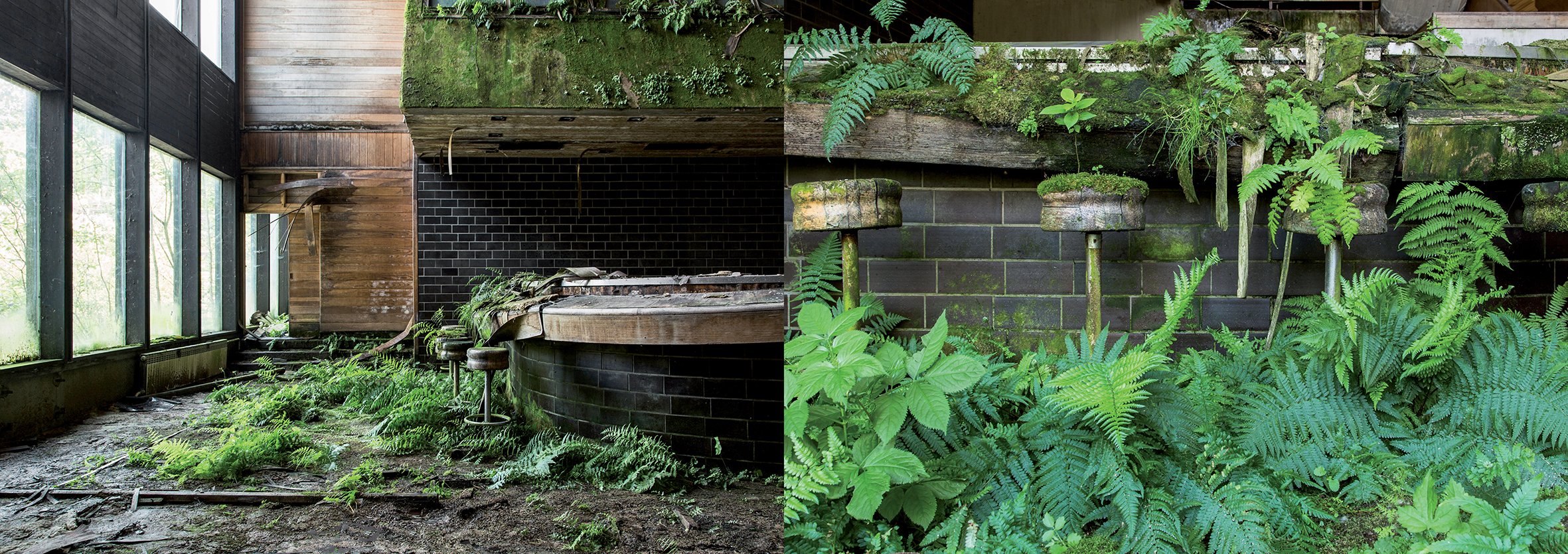 Naturalia: Overgrown Abandoned Places