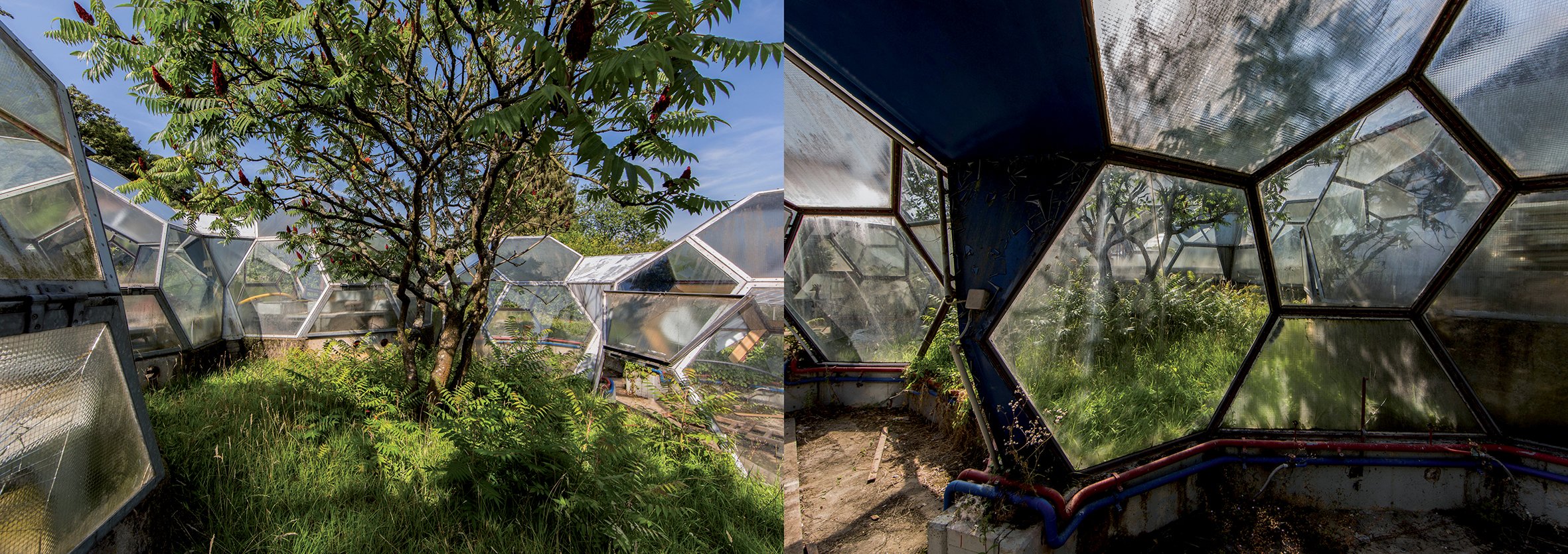 Naturalia: Overgrown Abandoned Places