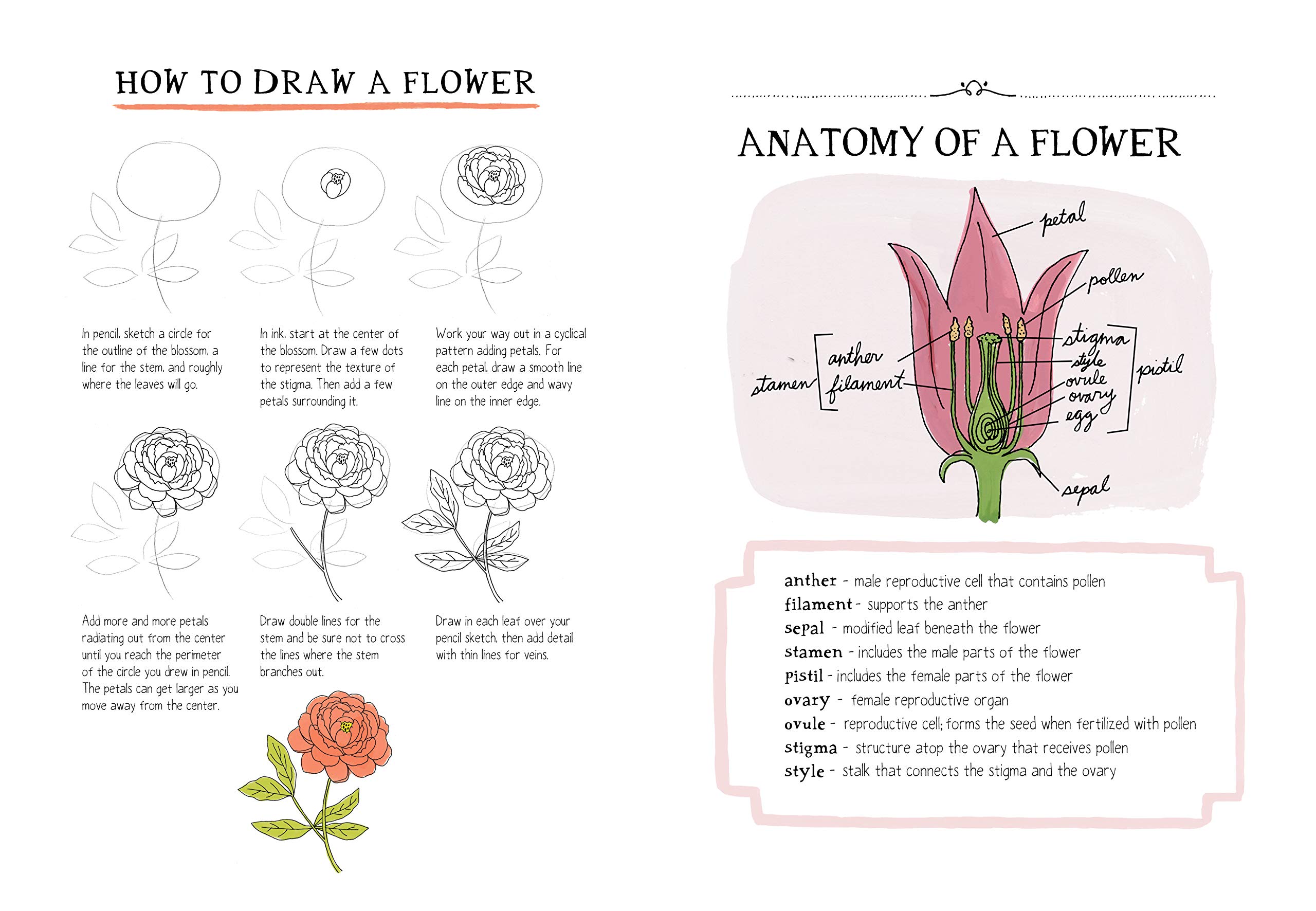 Nature Anatomy Notebook