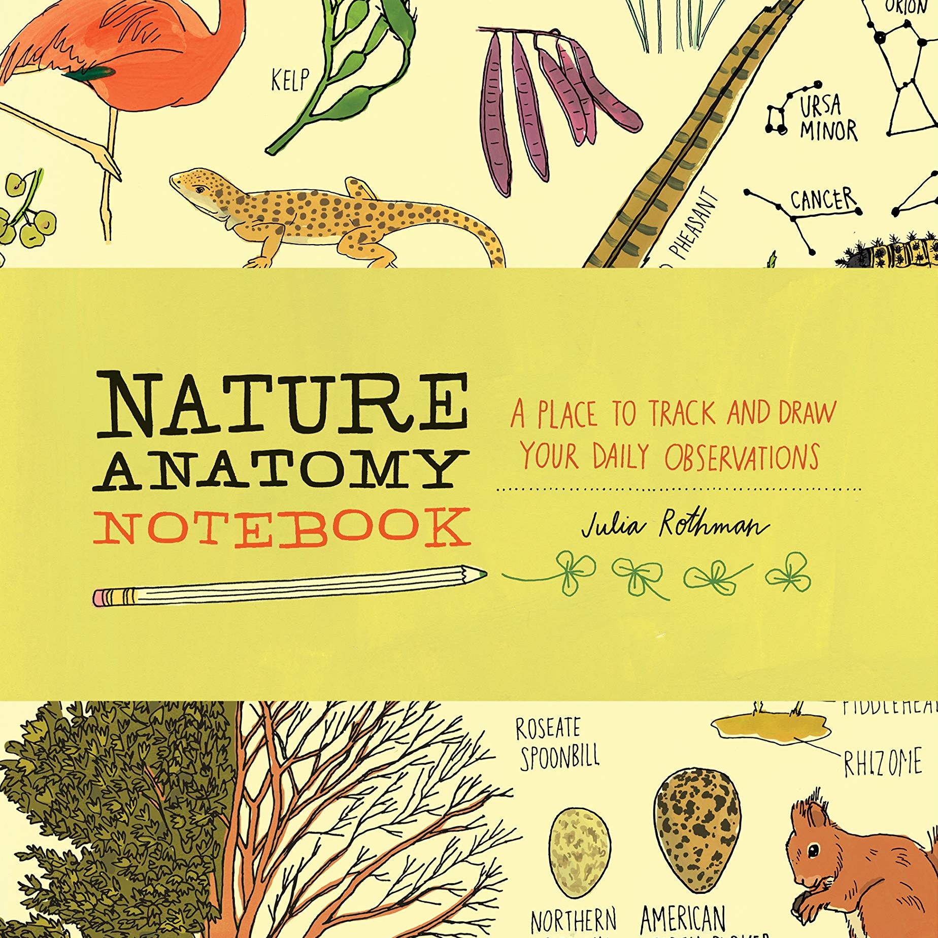 Nature Anatomy Notebook