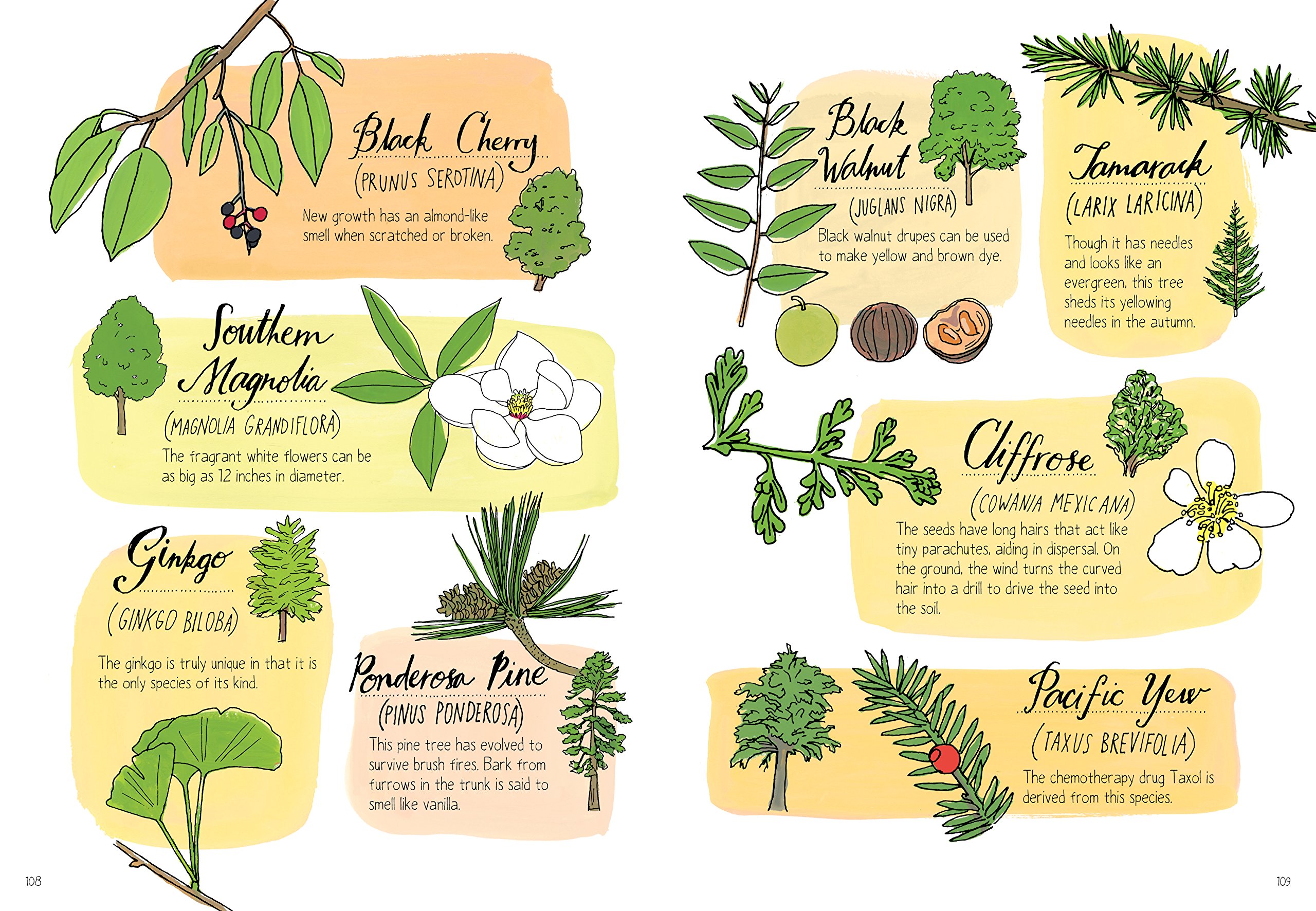 Nature Anatomy: The Curious Parts and Pieces of the Natural World