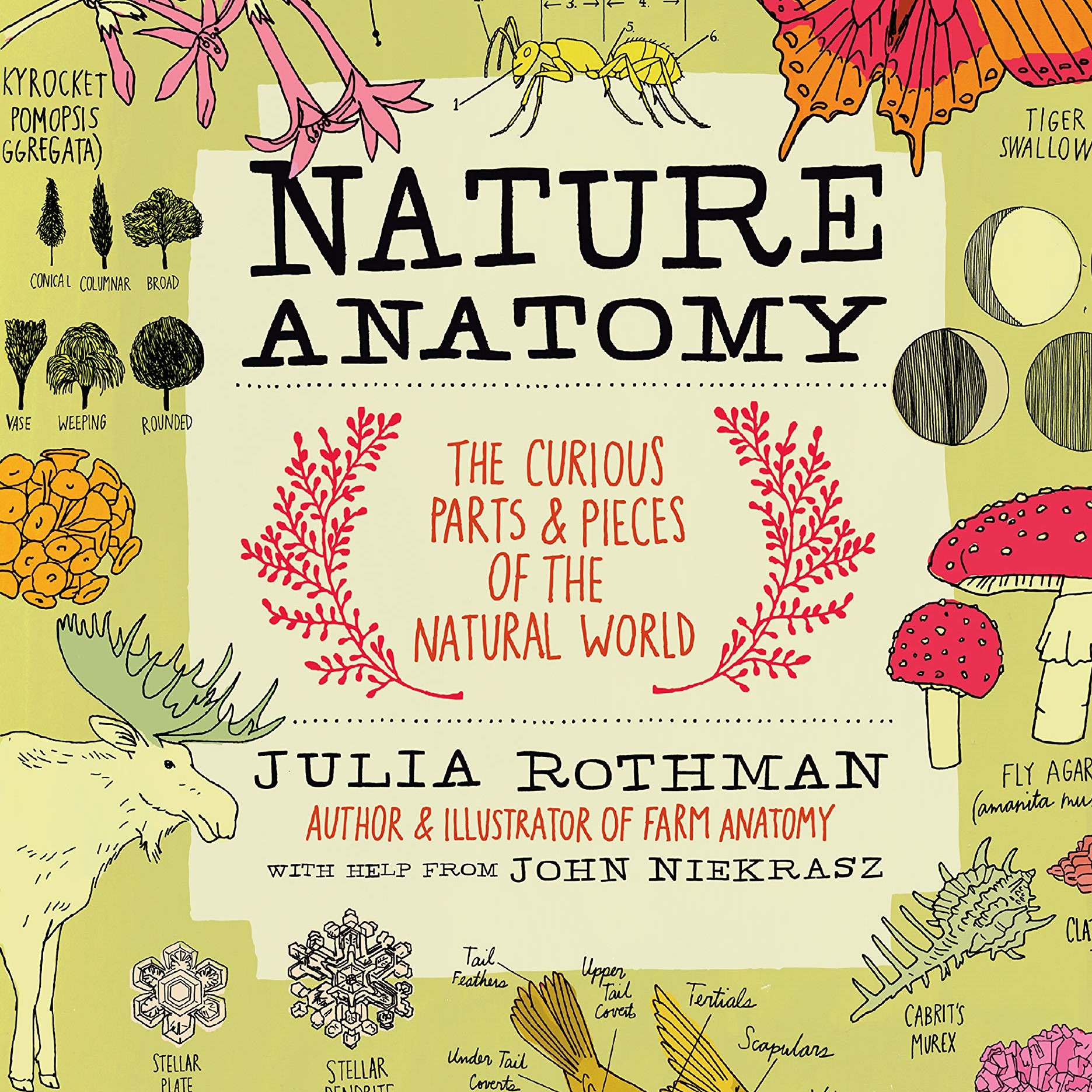 Nature Anatomy: The Curious Parts and Pieces of the Natural World