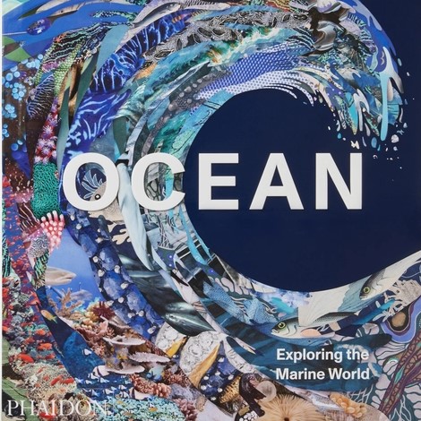 Ocean: Exploring the Marine World