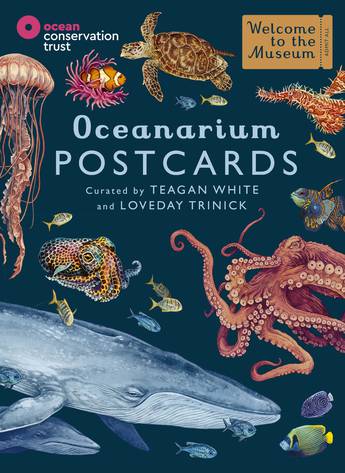 Oceanarium Postcards - Welcome To The Museum