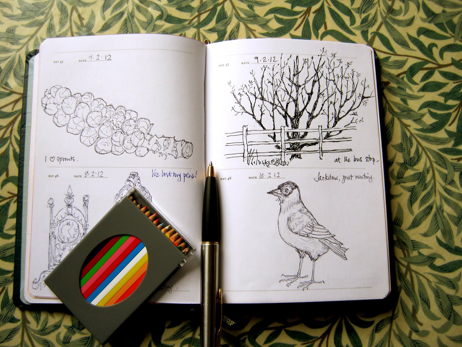 One Sketch a Day A Visual Journal