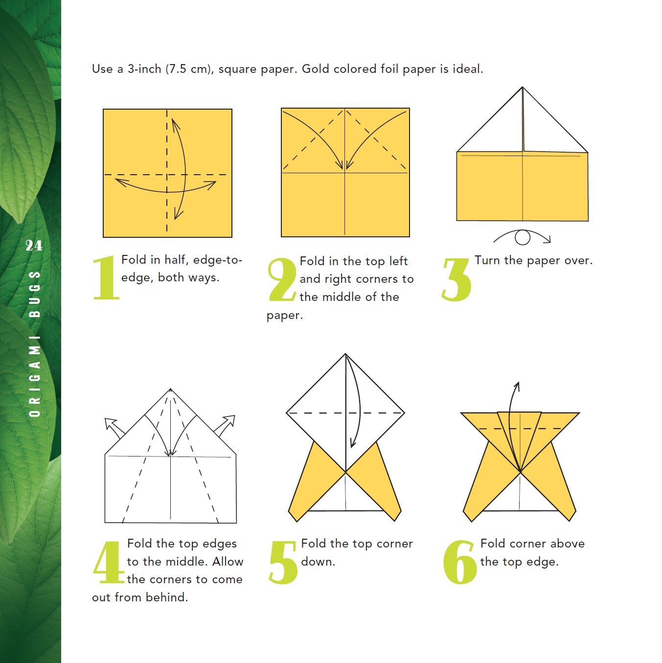 Origami Bugs Kit